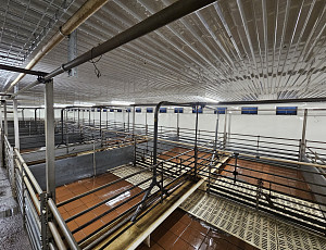 Rekonstrukce opláštění zemědělské haly